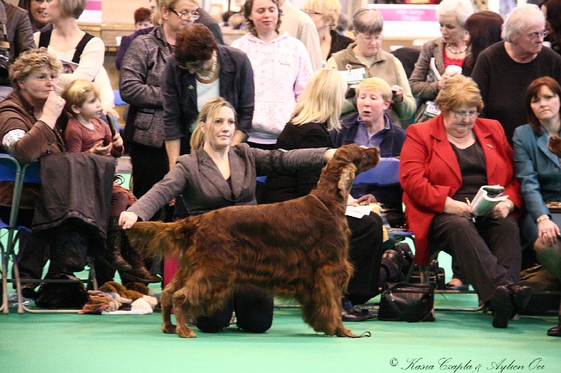 Crufts2011_2 016.jpg